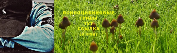 марки lsd Богданович