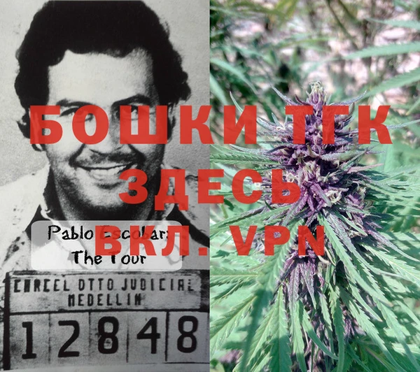 марки lsd Богданович